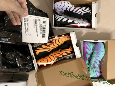 Shipped Order