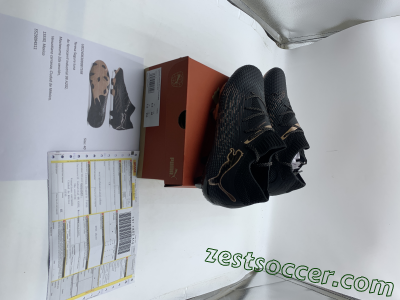 Shipped Order