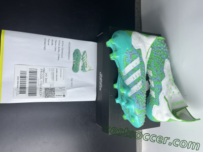 Shipped Order