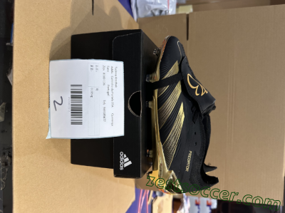 Shipped Order