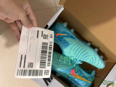 Shipped Order