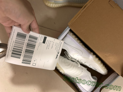Shipped Order