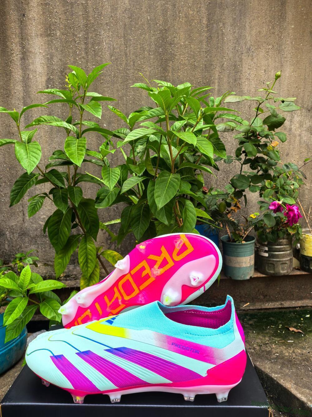 Adidas Predator Elite 24 Laceless FG Low-Tops Soccer Cleats - Jade/Blue/Pink