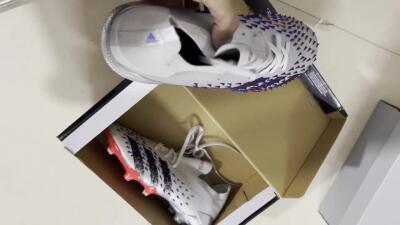 Adidas Predator Freak.1 FG Low-Tops Soccer Cleats - Silver/Blue/Red/Black